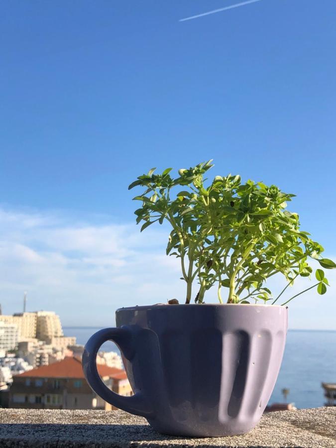 Studio Apartmani Lemon Budva Buitenkant foto